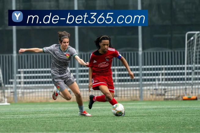 bet365全站App bet365全站App